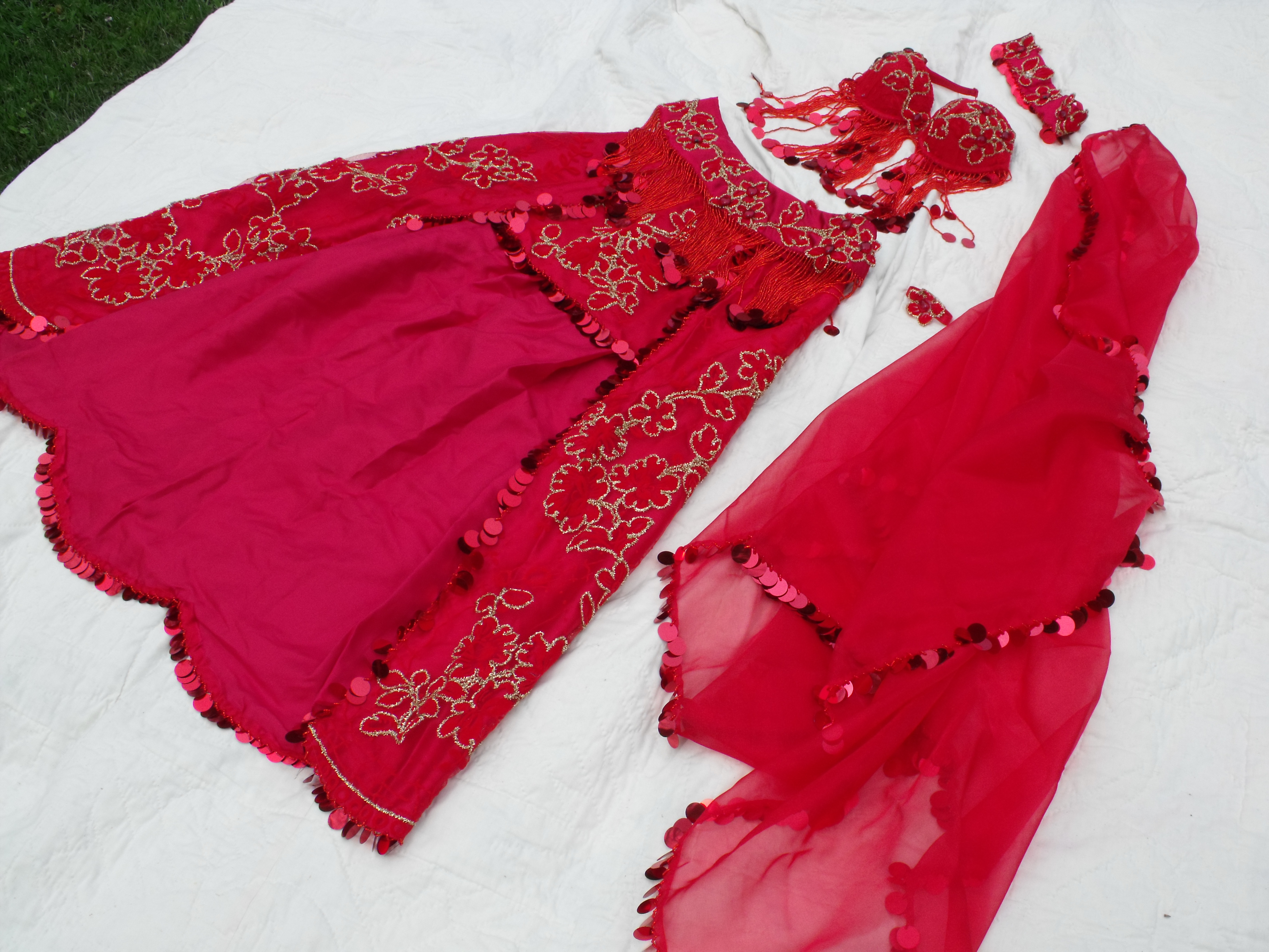 RED SCALLOP SKIRT ORIENTAL DANCE DRESS